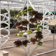 Illustration for article titled The High Tech Farms Where Our Future Food Will Grow in Nothing But Air